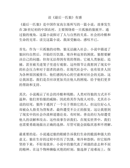 读《最后一匹狼》有感