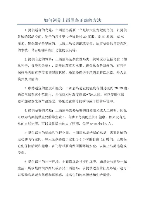 如何饲养土画眉鸟正确的方法