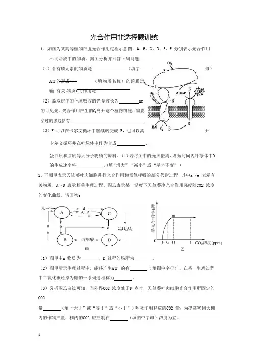 高中生物光合作用非选择题训练试题