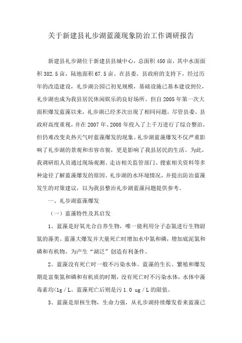 关于新建县礼步湖蓝藻现象防治工作调研报告