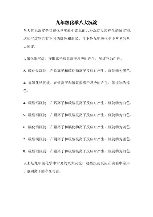 九年级化学八大沉淀