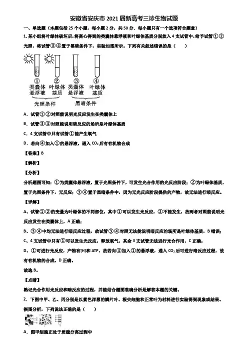 安徽省安庆市2021届新高考三诊生物试题含解析