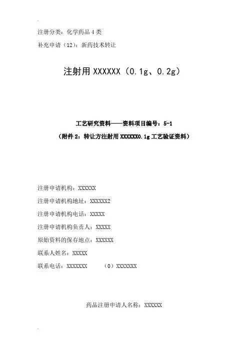注射剂工艺验证模板