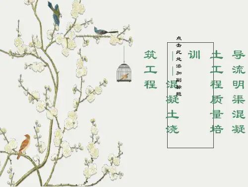峡工程施工工艺标准化培训演示版