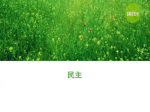 发展社会学 政治层面的民主化
