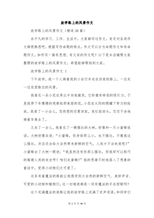 放学路上的风景作文