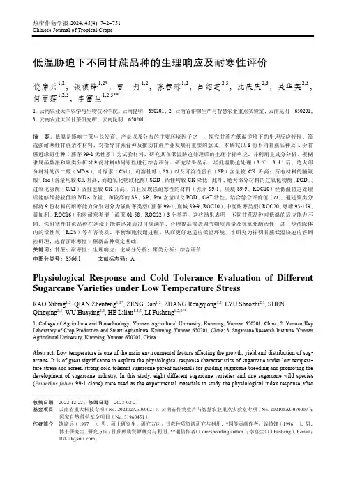 低温胁迫下不同甘蔗品种的生理响应及耐寒性评价