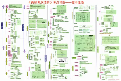 高中生物思维导图