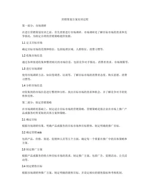 营销策划方案实训过程
