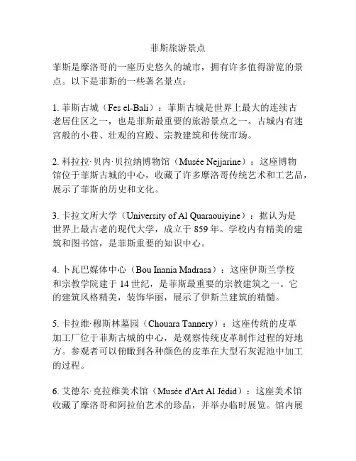 菲斯旅游景点