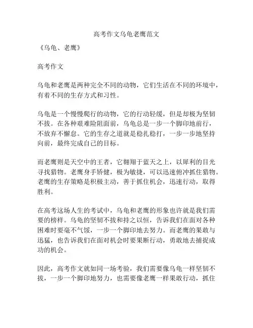 高考作文乌龟老鹰范文