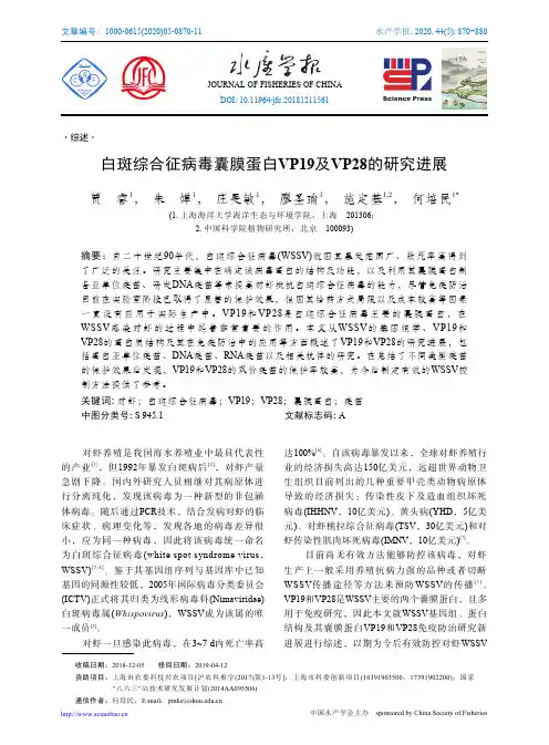白斑综合征病毒囊膜蛋白VP19及VP28的研究进展
