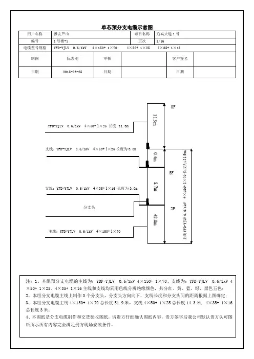 雅安卢山-单芯预分支电缆示意图