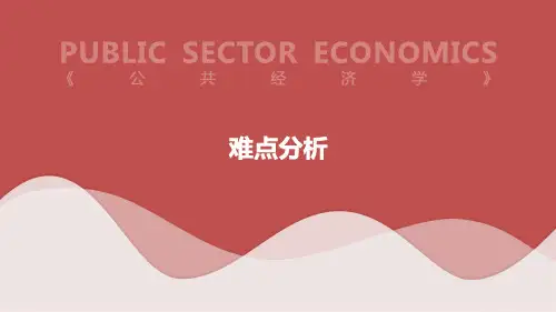 公共事业管理-公共经济学-难点分析