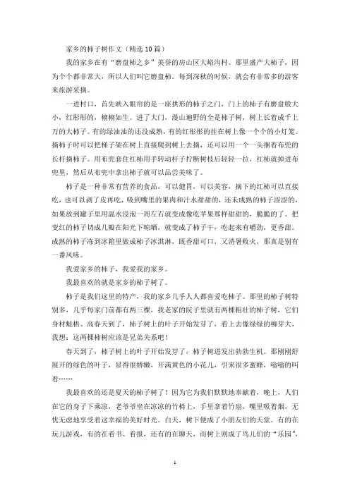 家乡的柿子树作文(最新)