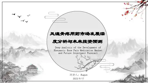 2023年中国风湿骨疼用药市场发展深度分析与未来投资预测报告报告模板