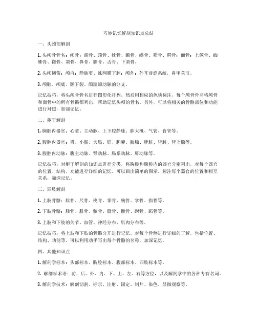 巧妙记忆解剖知识点总结