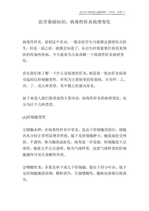 医学基础知识：病毒性肝炎病理变化