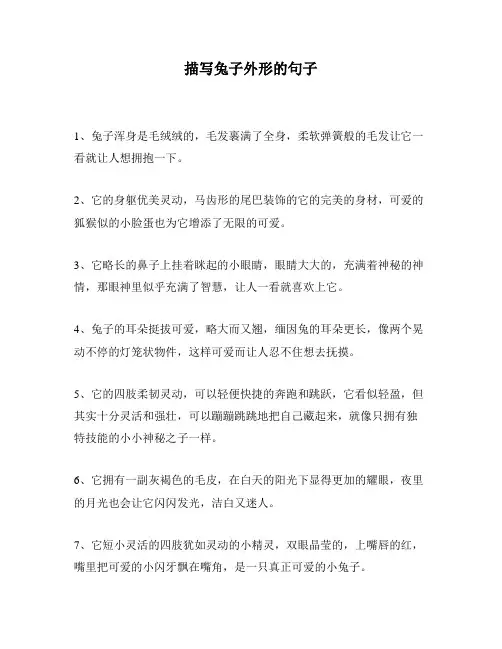 描写兔子外形的句子