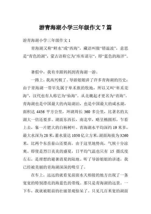 游青海湖小学三年级作文7篇
