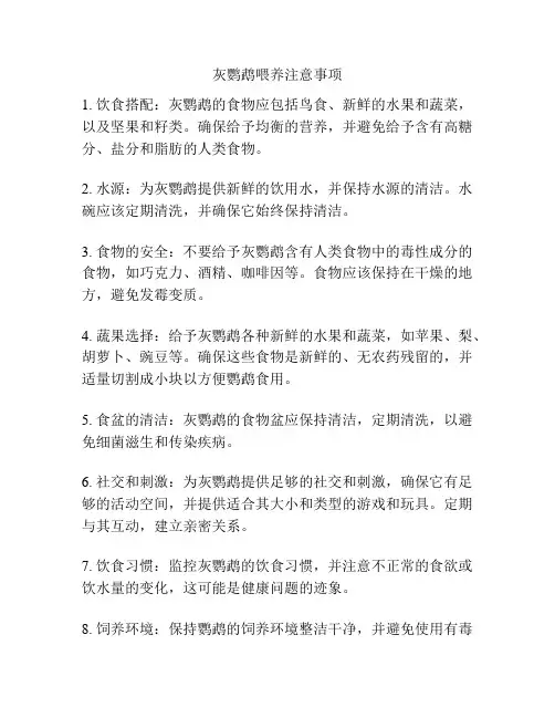 灰鹦鹉喂养注意事项