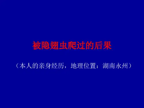 被隐翅虫爬过的后果
