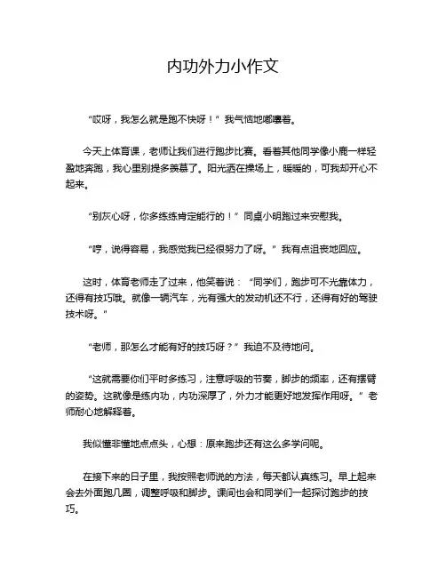 内功外力小作文
