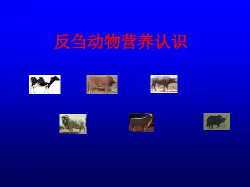 反刍动物营养认识解析