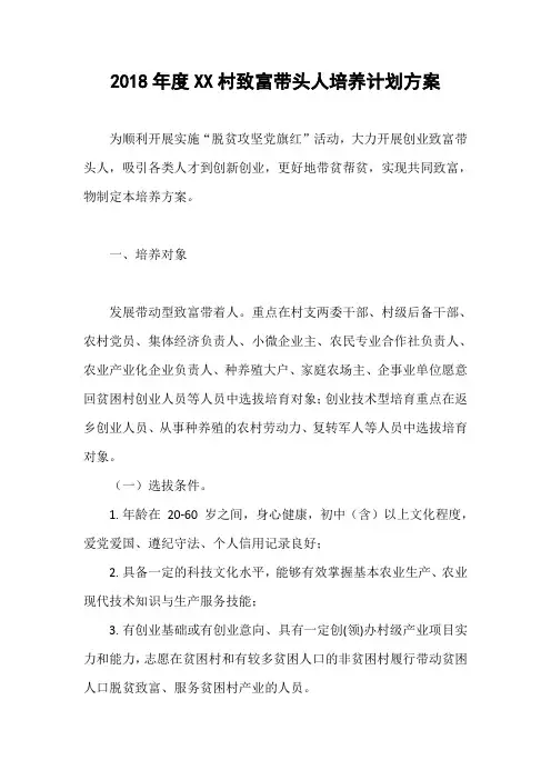 致富带头人方案