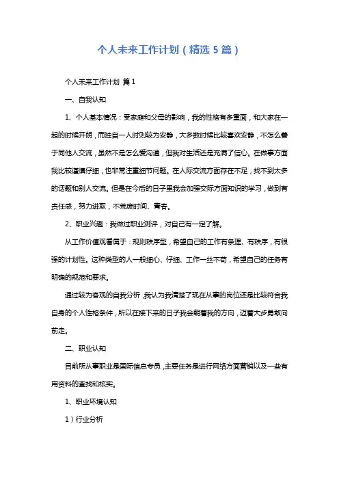 个人未来工作计划(精选5篇)