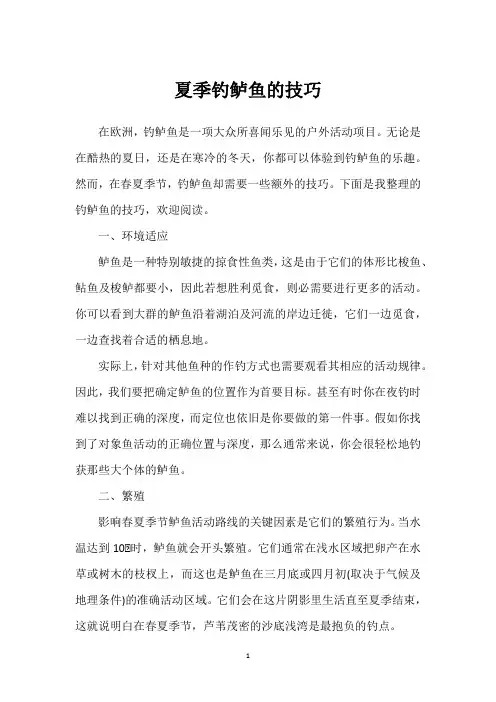 夏季钓鲈鱼的技巧