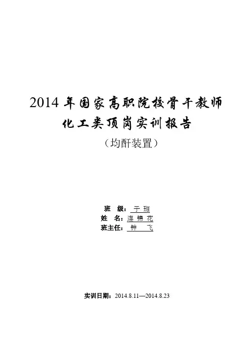 均酐实训报告