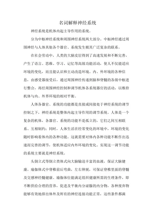 名词解释神经系统