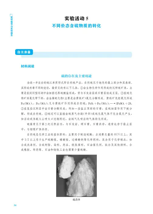 人教版高中化学必修二《不同价态含硫物质的转化》实验报告