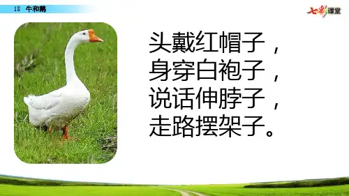 2020部编版四年级上册优秀课件18 牛和鹅ppt