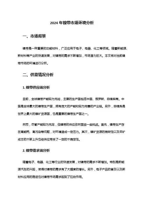 2024年镍带市场环境分析