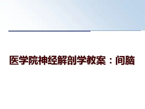 最新医学院神经解剖学教案：间脑PPT课件
