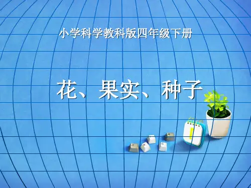 四年级下 花 果实和种子教科版实用PPT (共20张PPT)