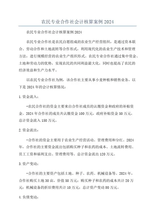 农民专业合作社会计核算案例2024