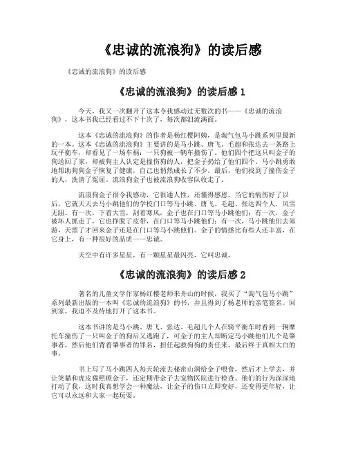 《忠诚的流浪狗》的读后感
