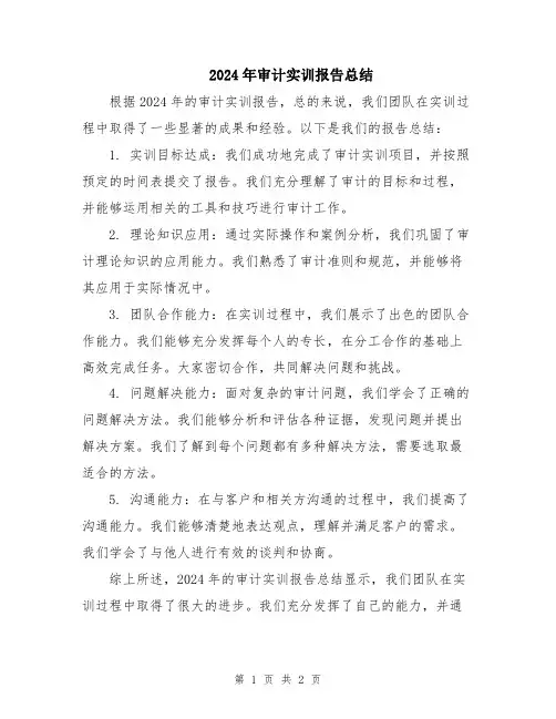2024年审计实训报告总结