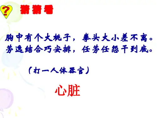 物质运输的器官——心脏PPT课件