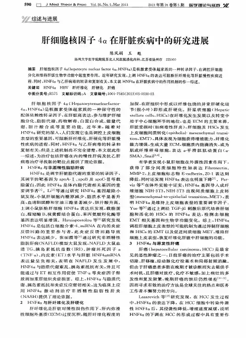 肝细胞核因子4α在肝脏疾病中的研究进展
