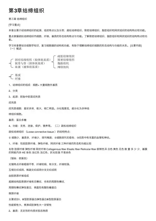 第3章结缔组织
