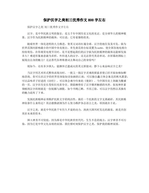 保护汉字之美初三优秀作文800字左右