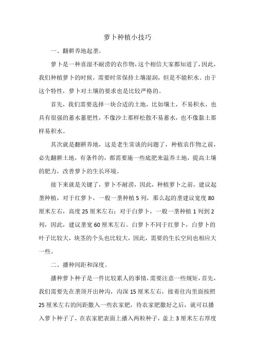 萝卜种植小技巧