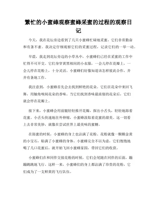 小学三年级作文繁忙的小蜜蜂观察蜜蜂采蜜的过程的观察日记