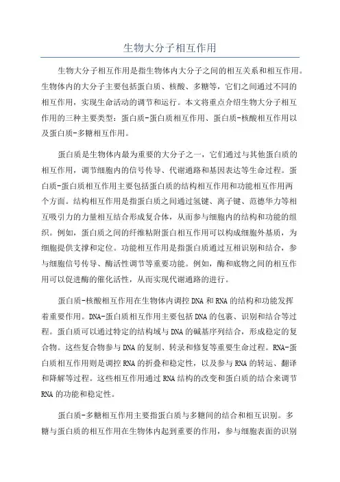 生物大分子相互作用