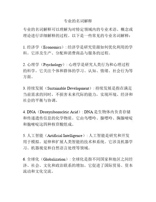 专业的名词解释