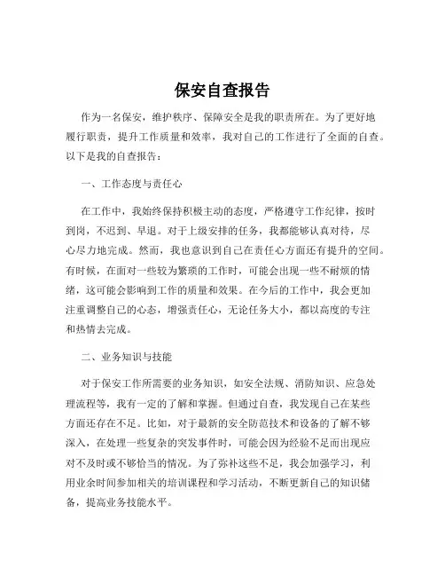保安自查报告